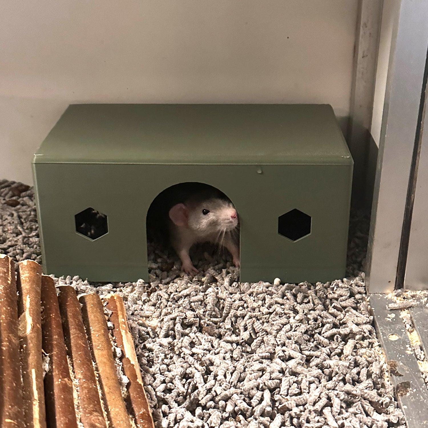 Knaagdierspullen-collectie