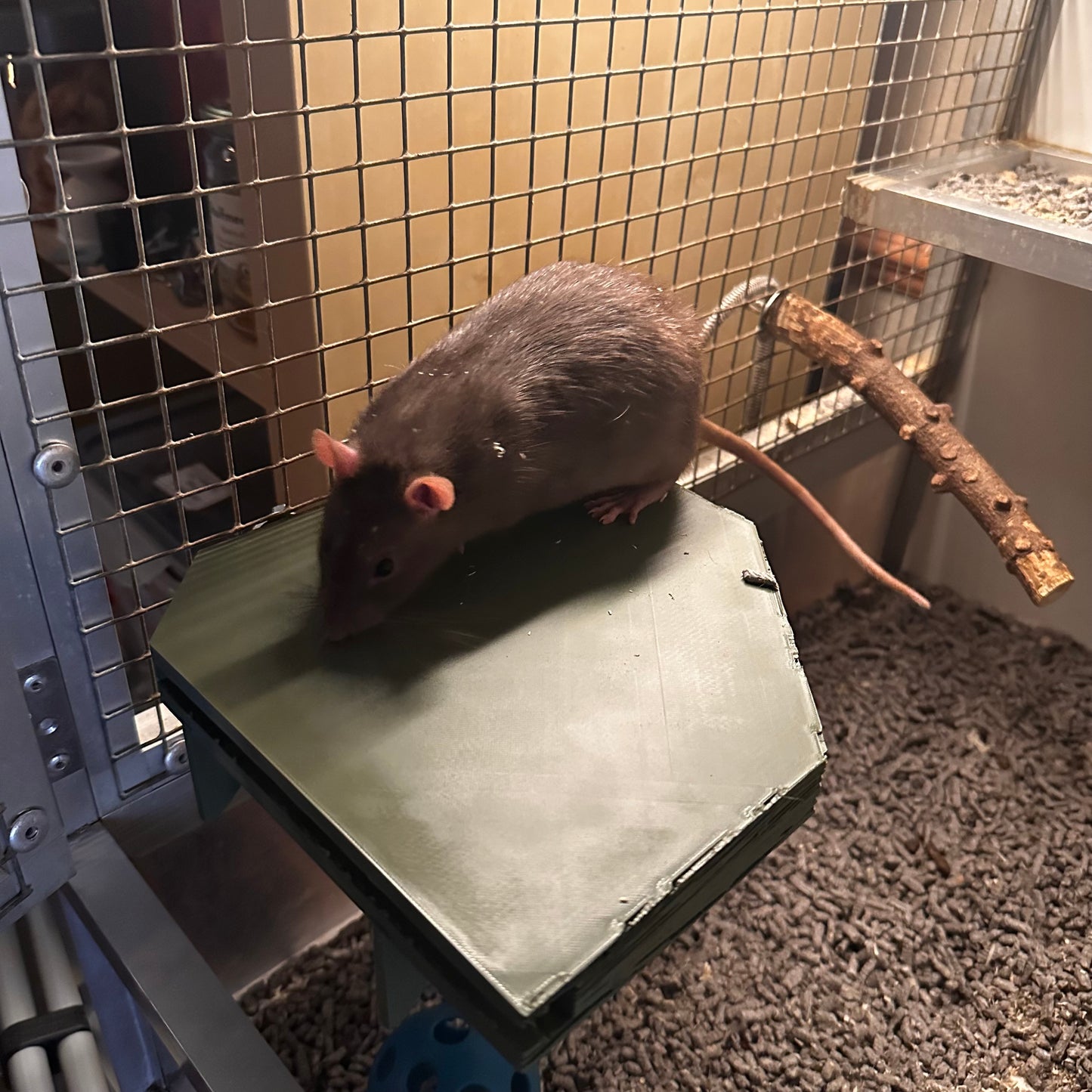 Hoekplankje (21x21x2.3cm) Verlaagt in prijs!