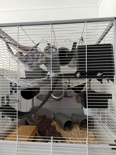 Foto 3